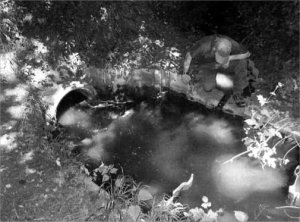 The Broad Oak Stream. The pipe on the left goes into the canal and has been blocked recently by a sheet of Perspex (21k)